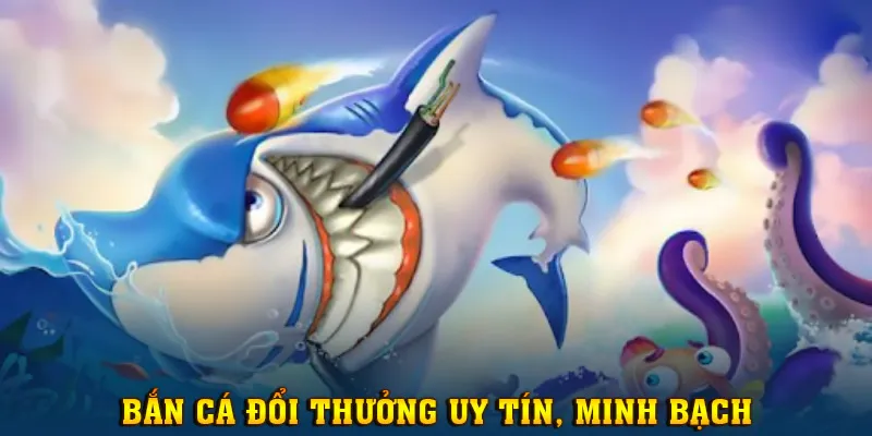 Săn cá kiếm tiền uy tín, minh bạch