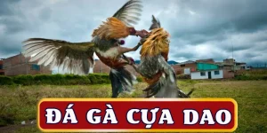 da-ga-cua-dao-avt